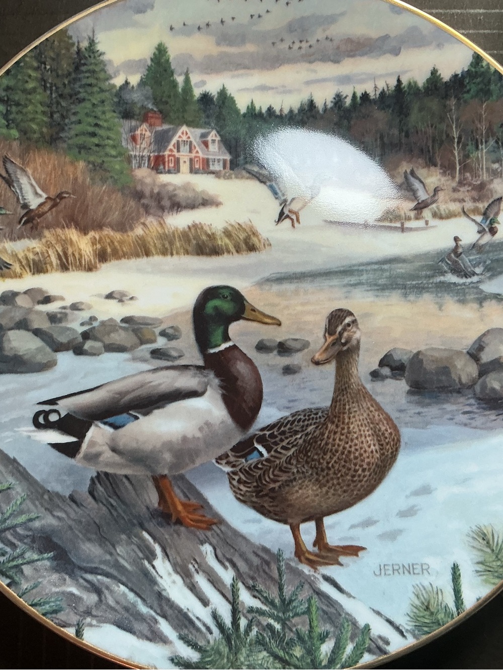 ★ Edwin M Knowles The Green-Winged Teal Collector Plate COA Box